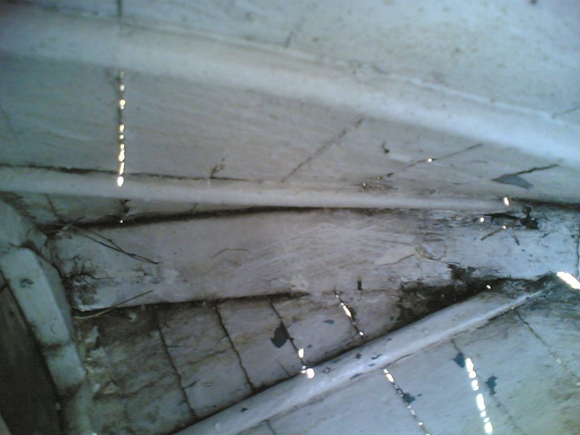 [Immagine: 201264225611_chiglia 093.jpg]